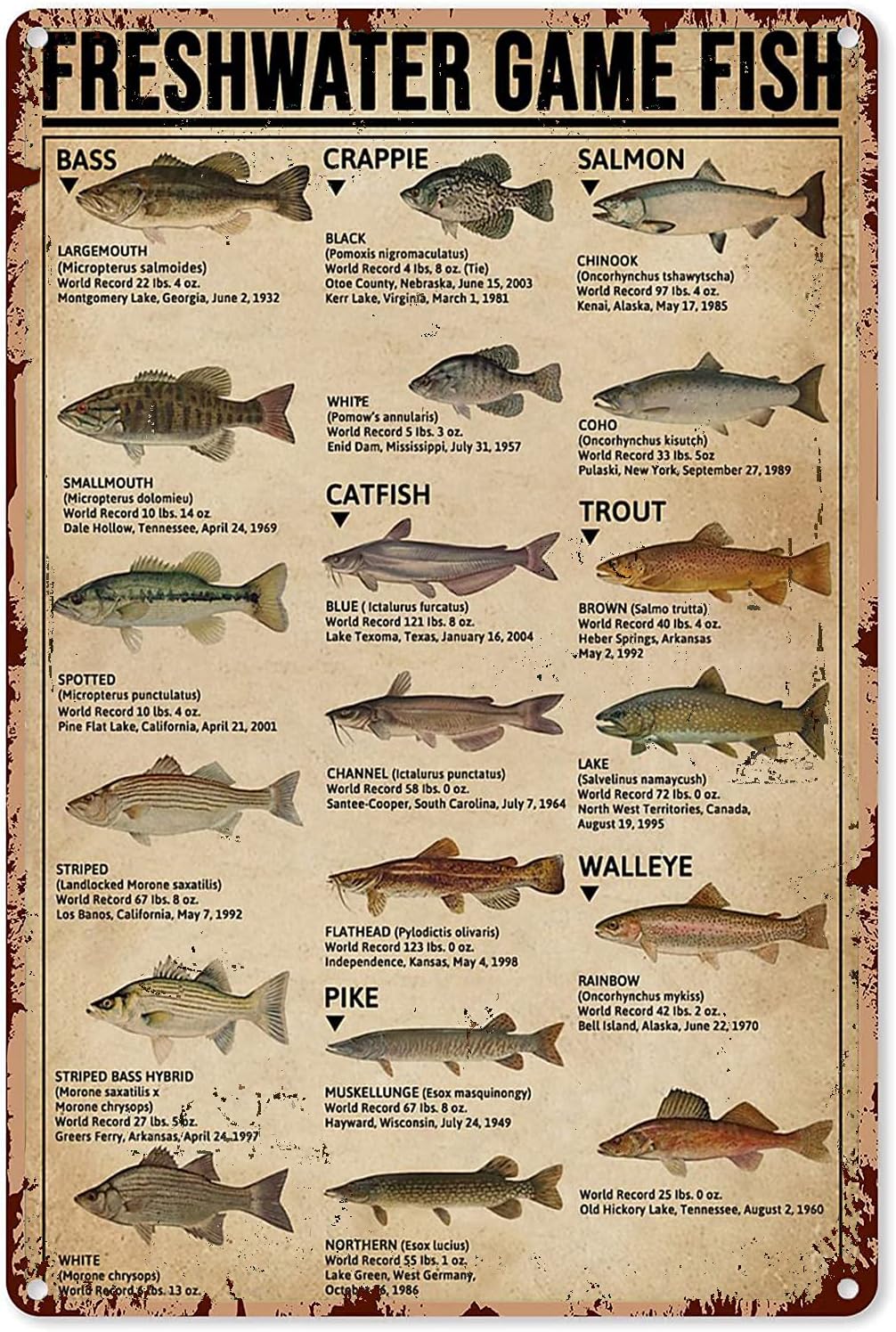 Home Decor Games Free - Y1,Fishing Art Posters Metal Sign Freshwater