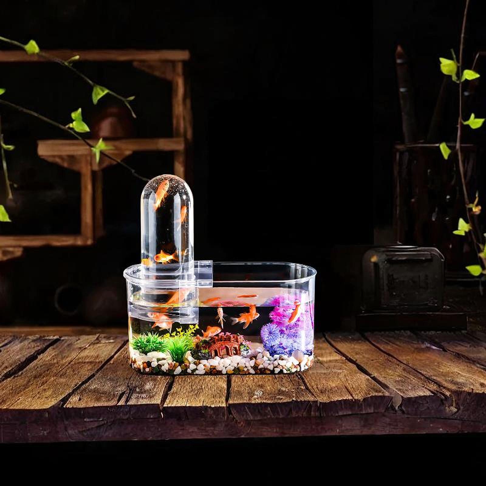 Home Decor Habitat - Mini Fish Tank Sturdy with Ventilation