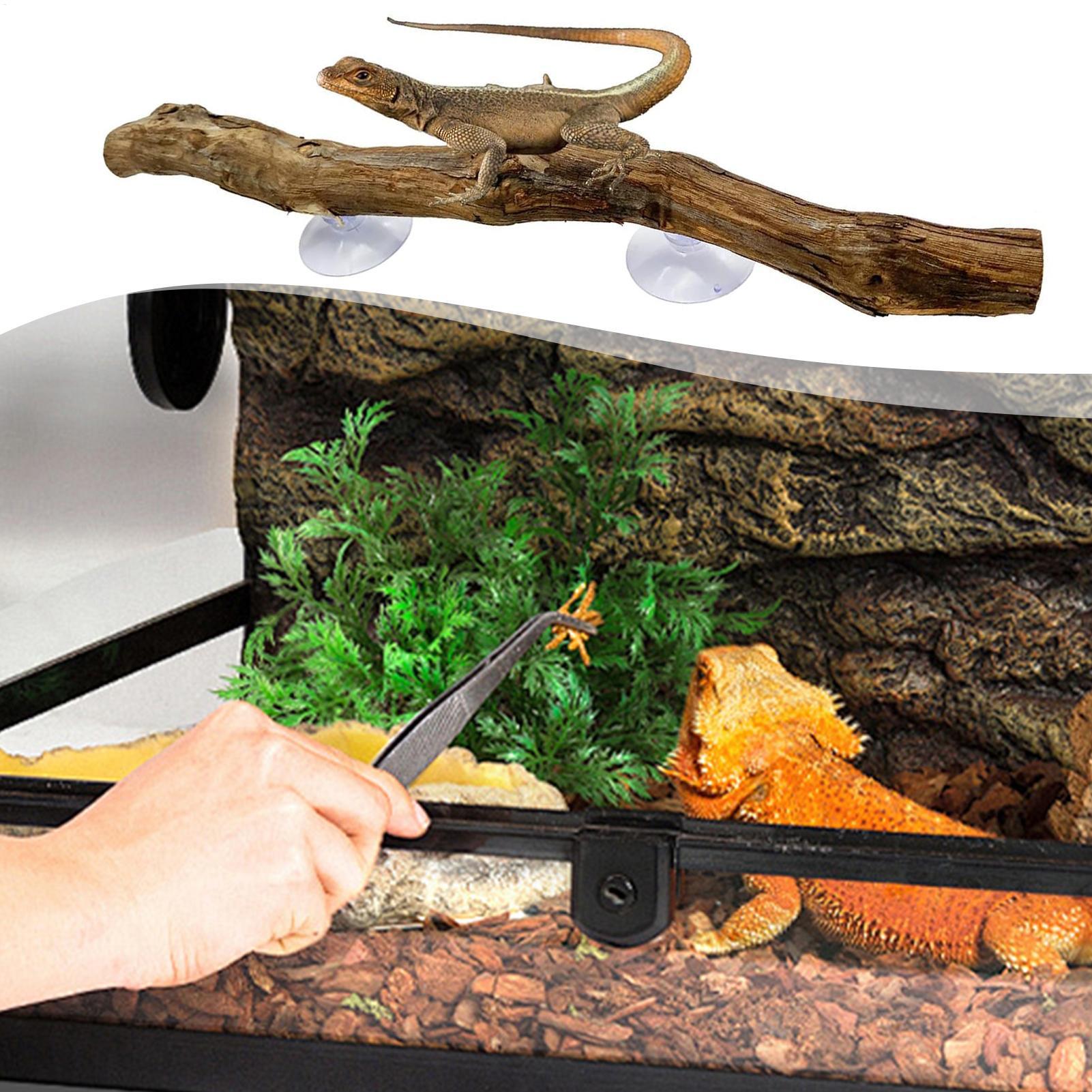 Wooden Snake Climbing Branch R - огляд і ціна Home Decor Habitat