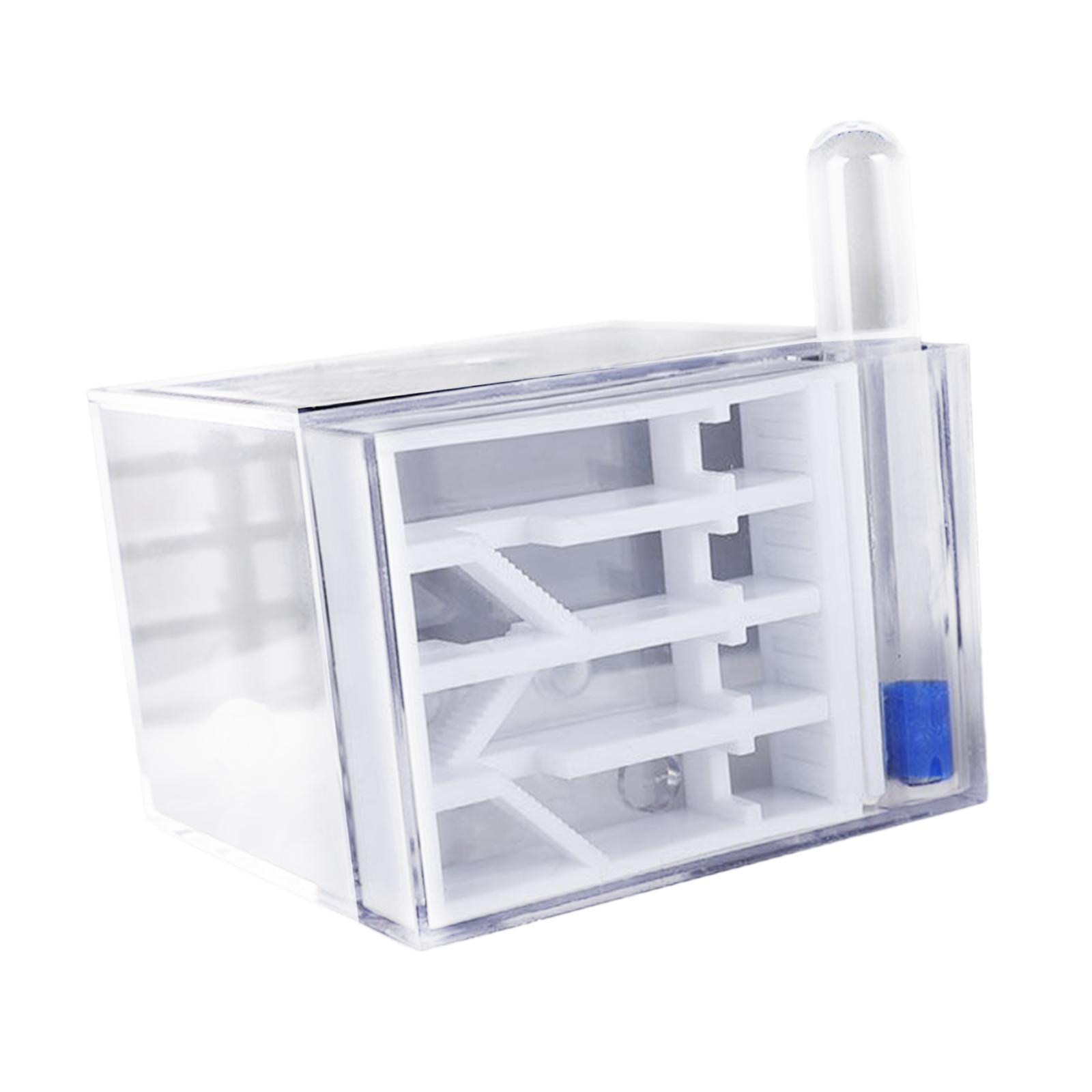 ANT Farm DIY Science Education - огляд і ціна Home Decor Habitat