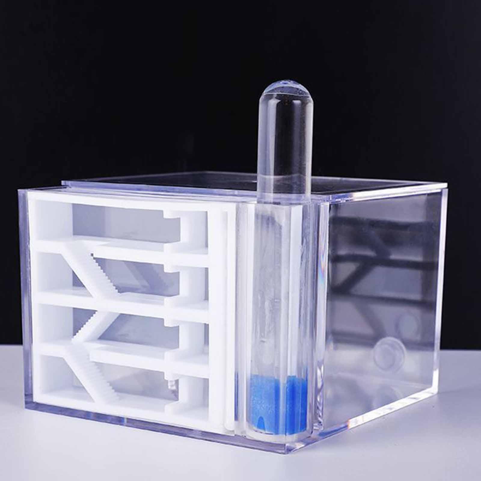 ANT Farm DIY Science Education - огляд і ціна Home Decor Habitat