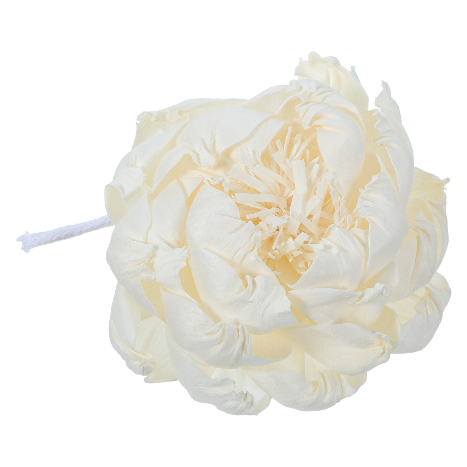 Aroma Diffuser Flower for Home - огляд і ціна Home Decor Essentials