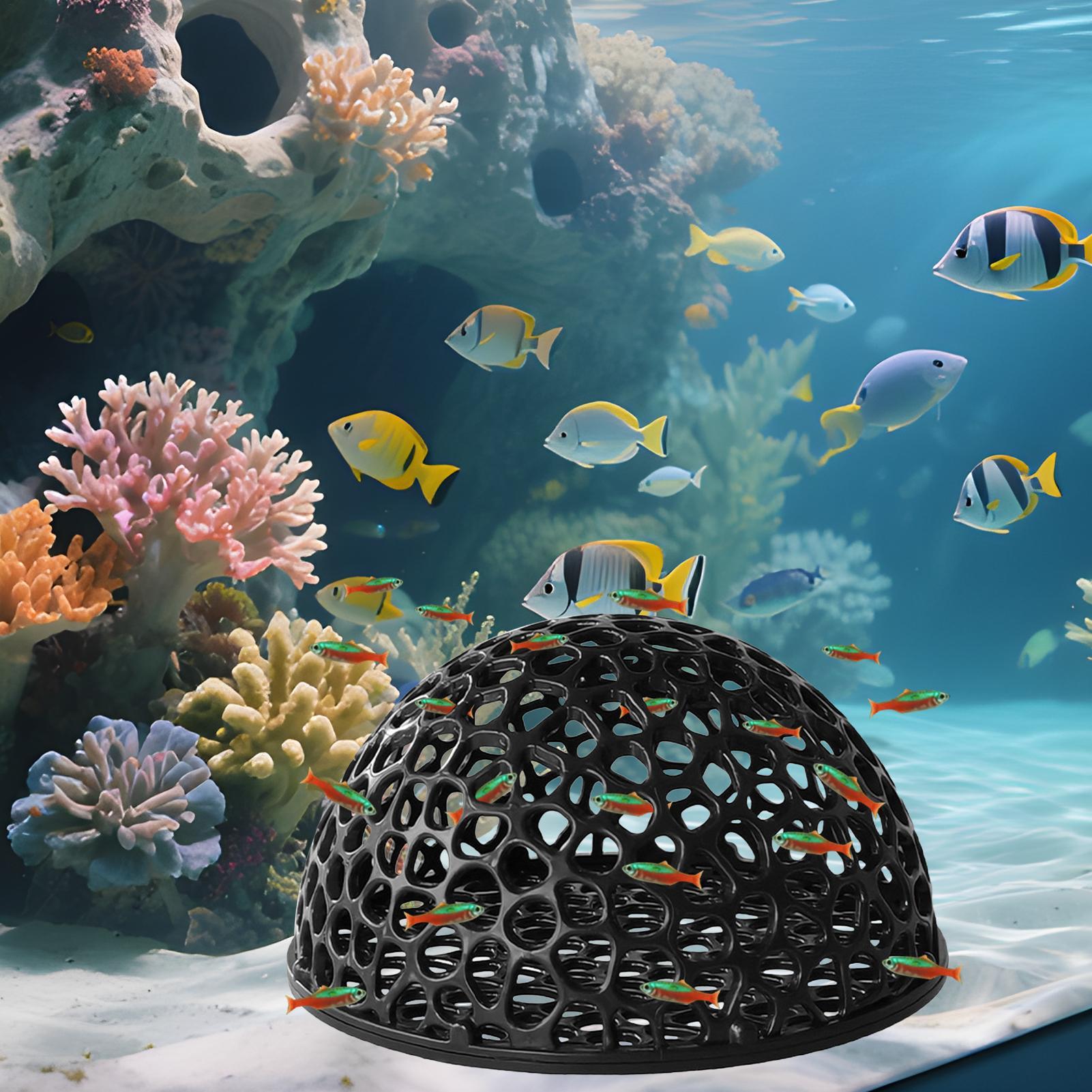 Shrimp Breeding Cave fish tank - огляд і ціна Home Decor Habitat