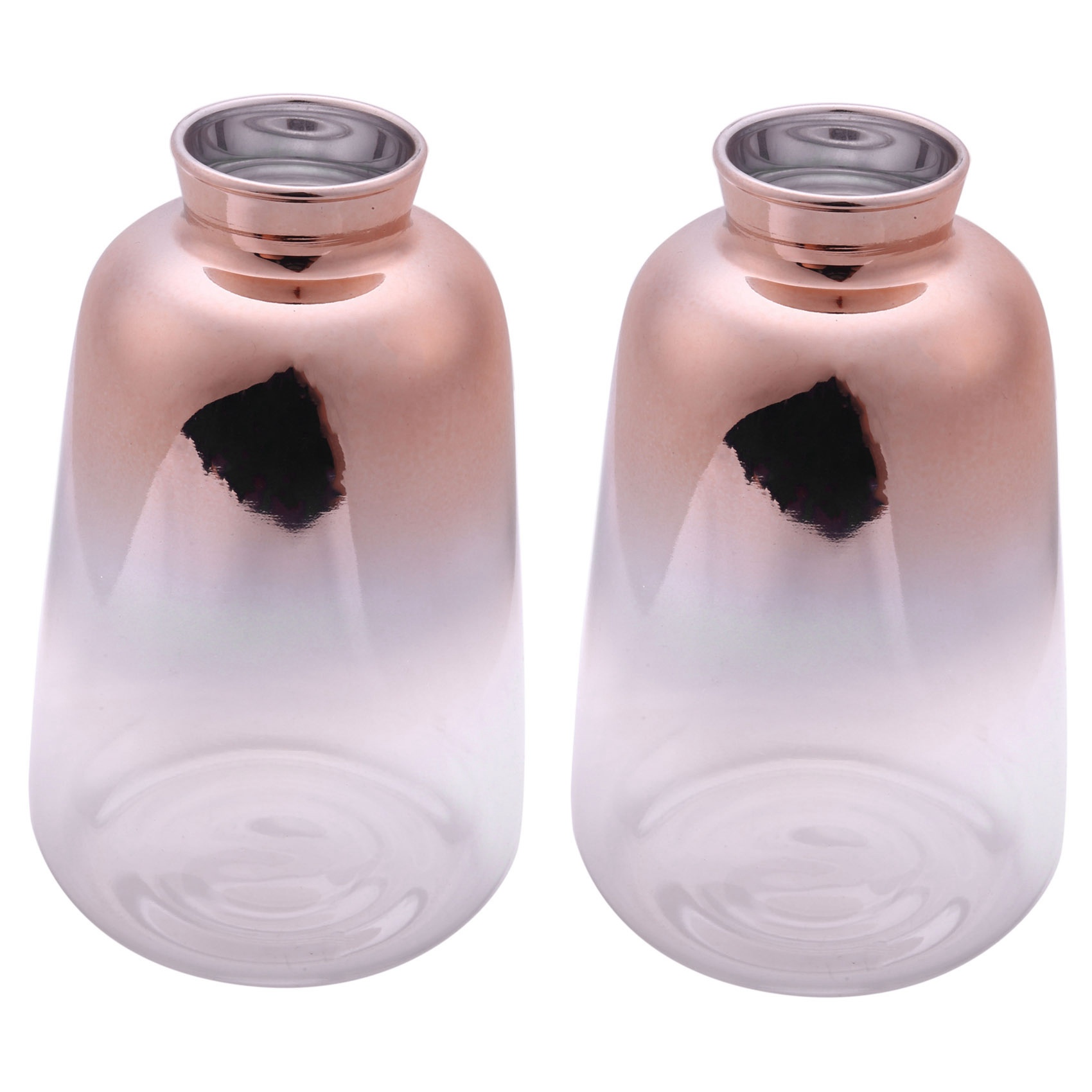 ABYN-2X Glass Vase Nordic Elec - огляд і ціна Glass Vase Nordic